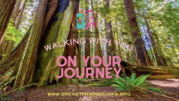 walk with you on your journey